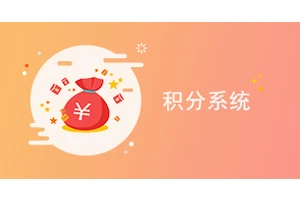 积分系统