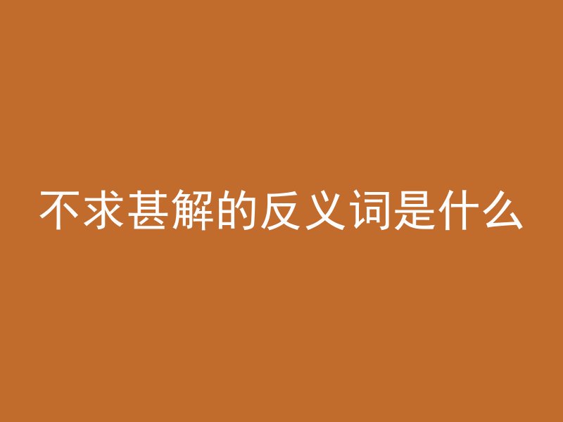 不求甚解的反义词是什么